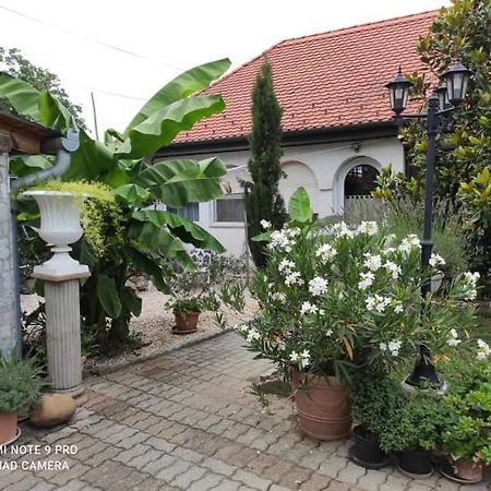 Lavendel Apartman 哈卡尼 外观 照片